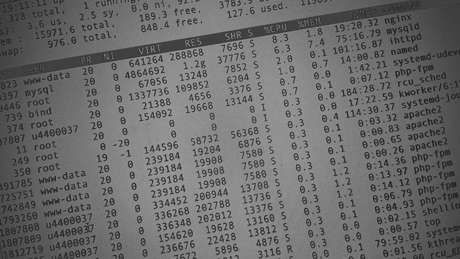 Настройка сервера в Ростове