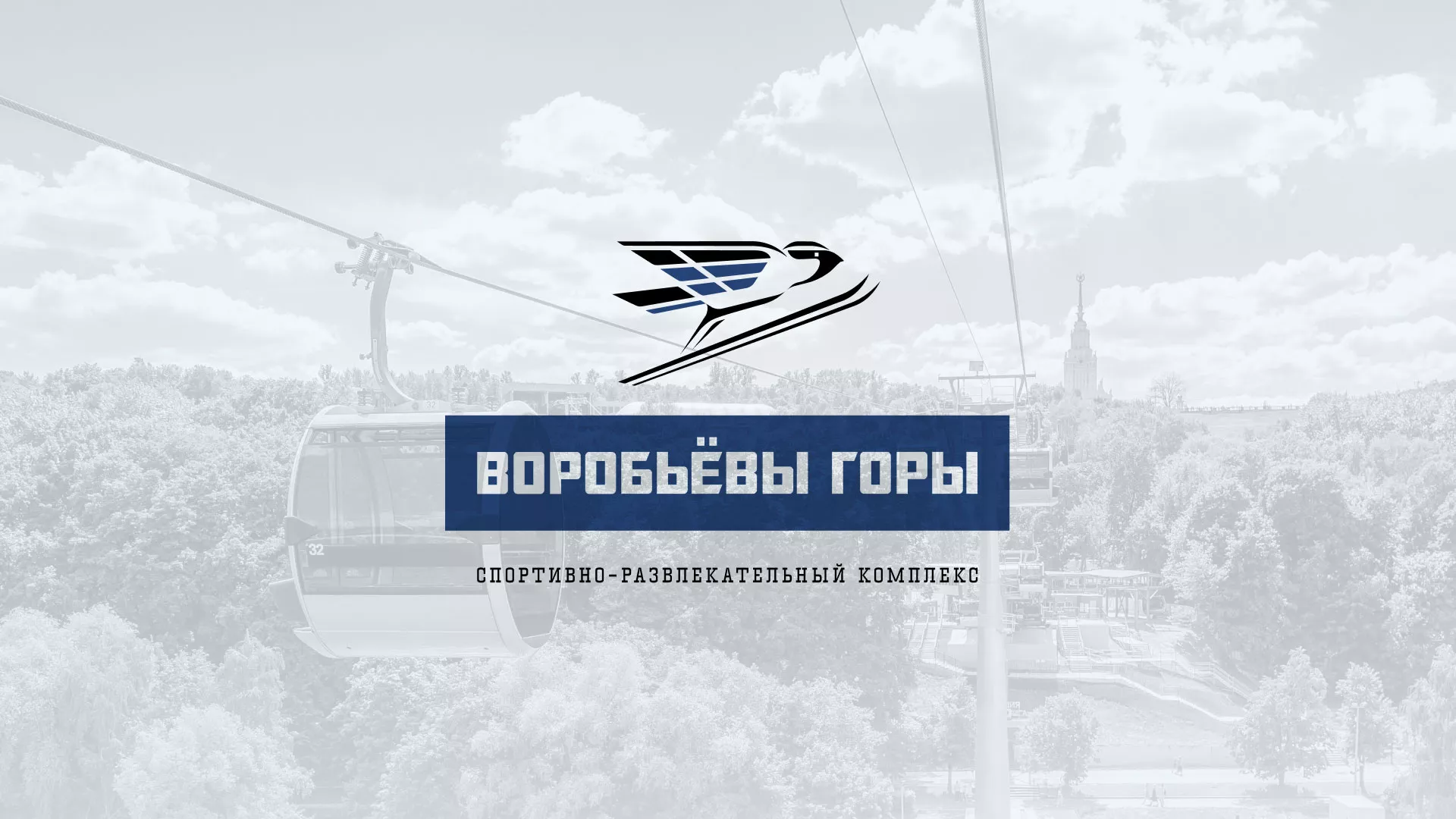 Разработка сайта в Ростове для спортивно-развлекательного комплекса «Воробьёвы горы»
