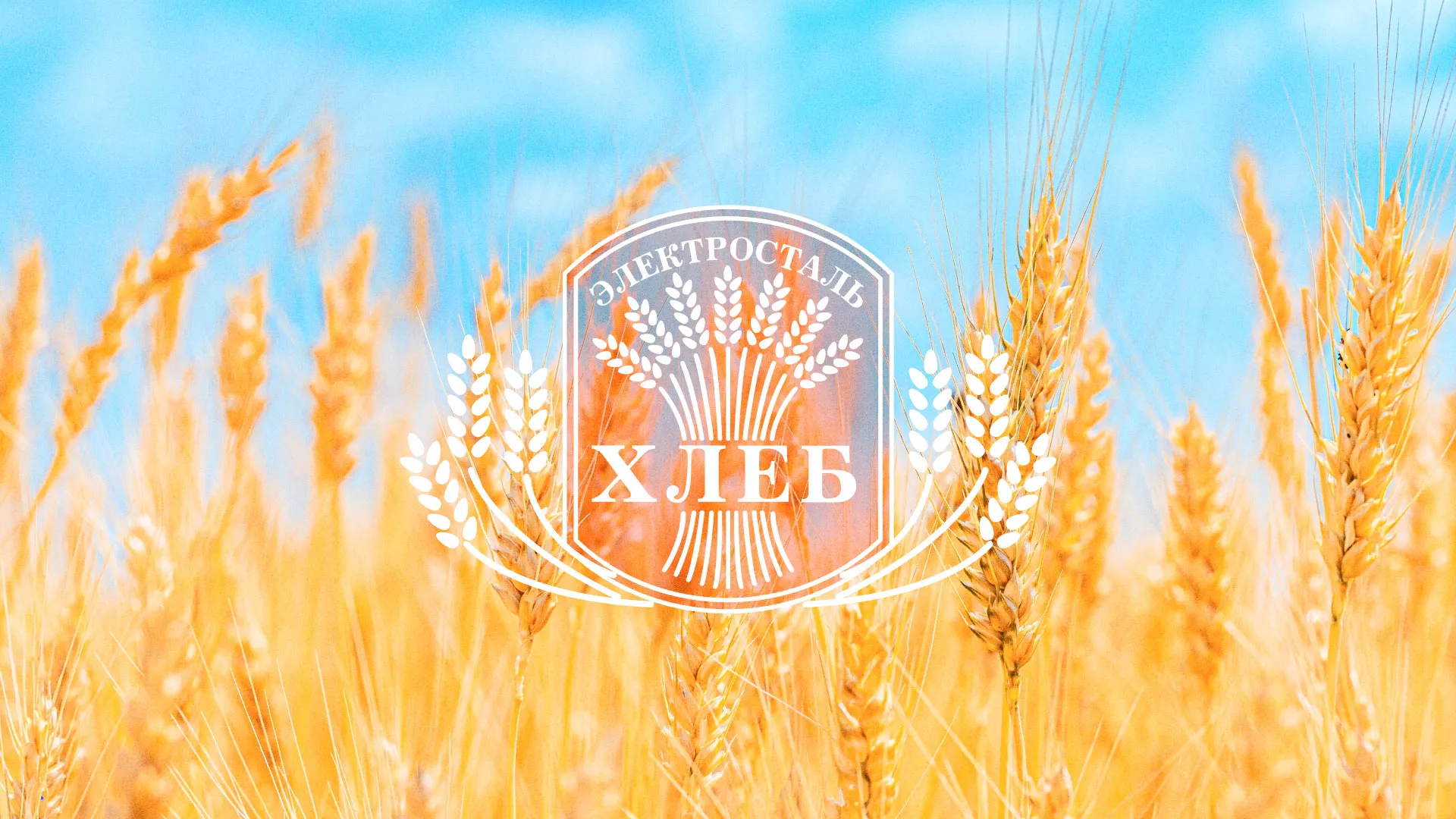 Создание сайта для хлебзавода в Ростове