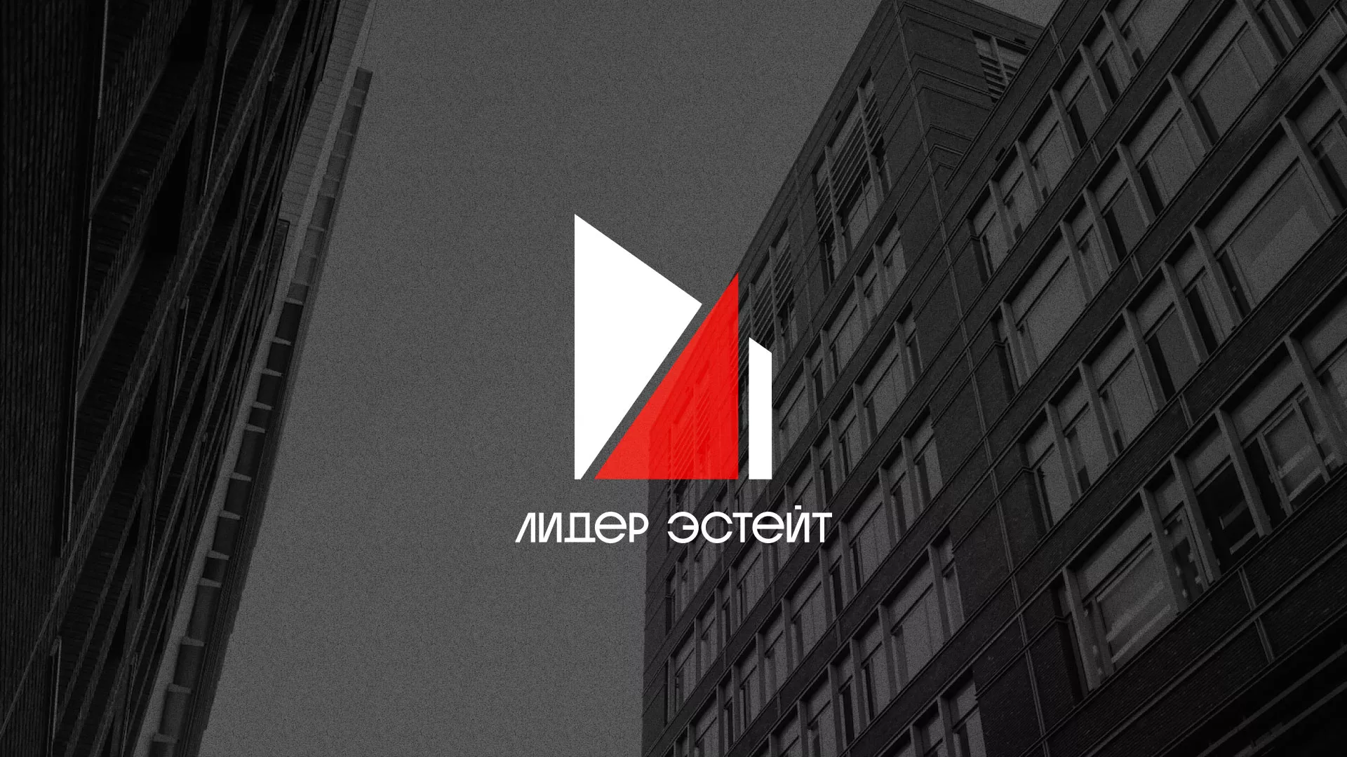 Сделали логотип для агентства недвижимости «Лидер Эстейт» в Ростове